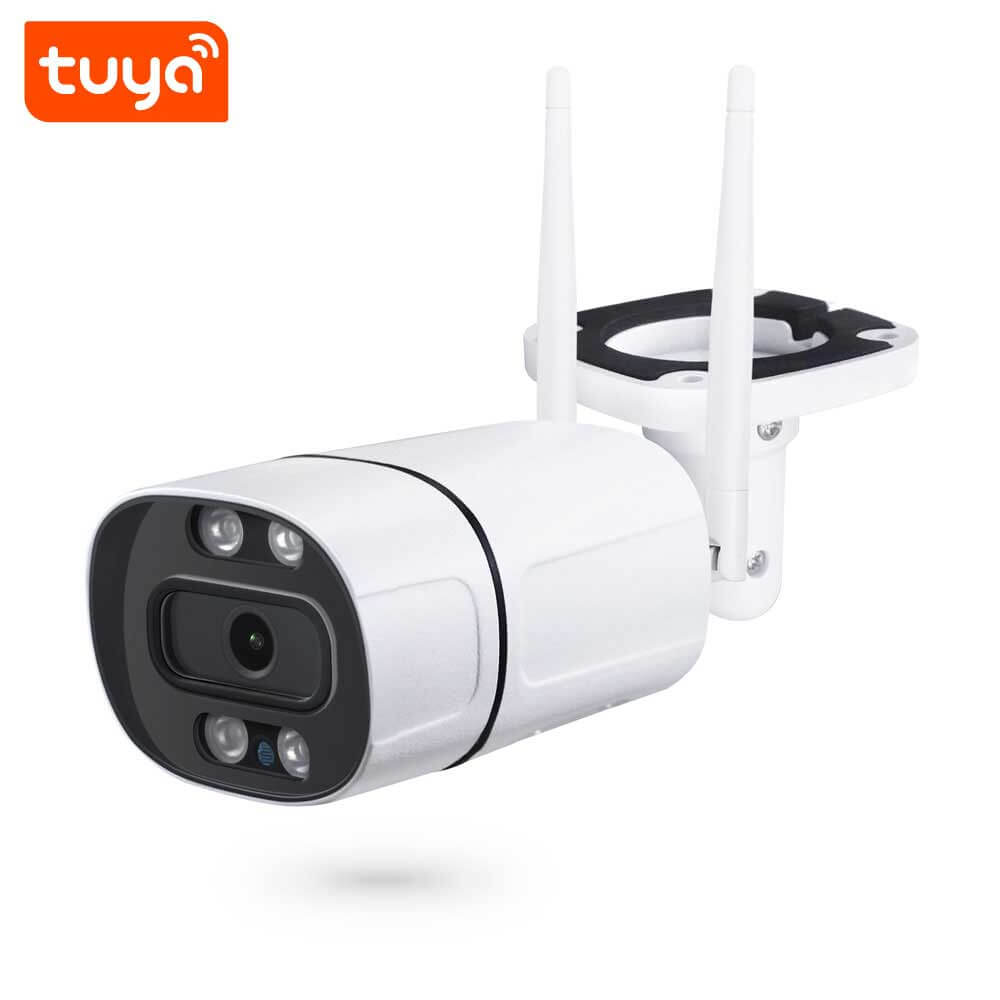 Techwise Solutions