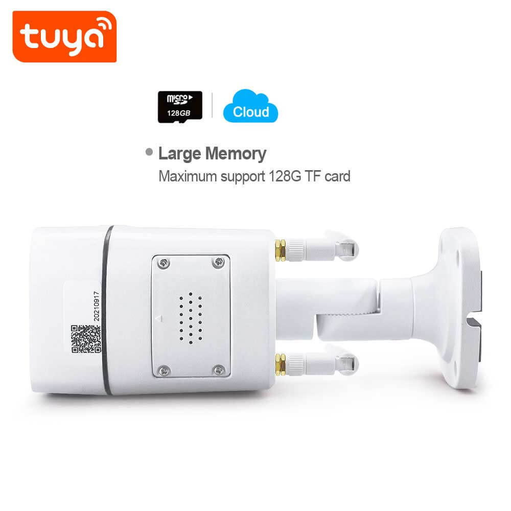 Techwise Solutions